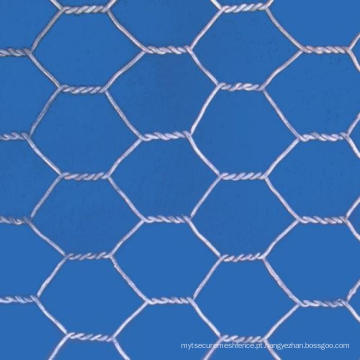 Crab Trap Wire / Hexagonal Hole Shape e Material de Fio de Ferro Galvanizado Hexagonal Wire Mesh